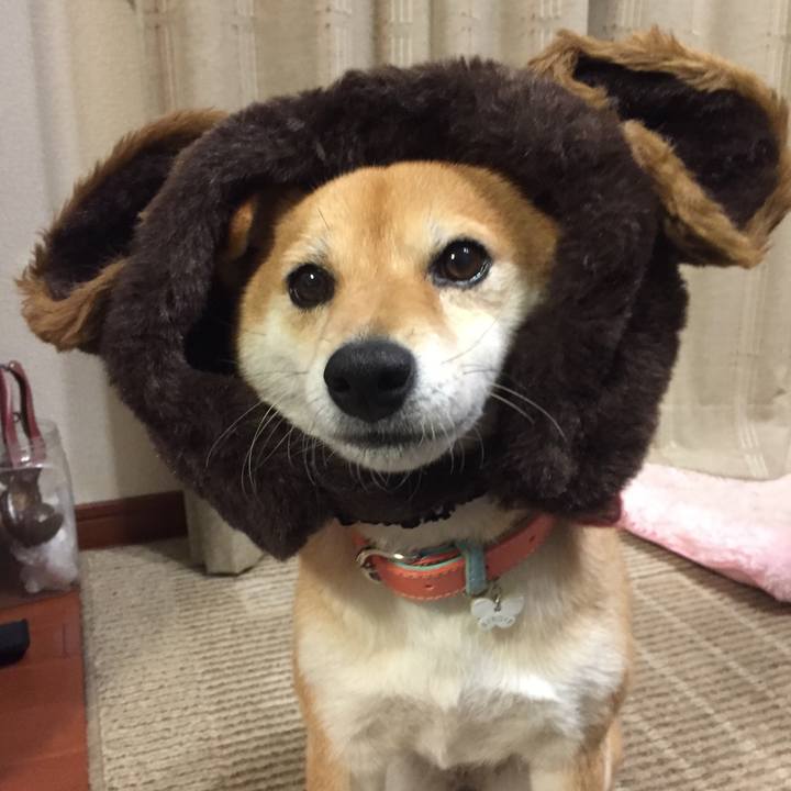 806f93a5 868d 4473 92db f283e458c43f