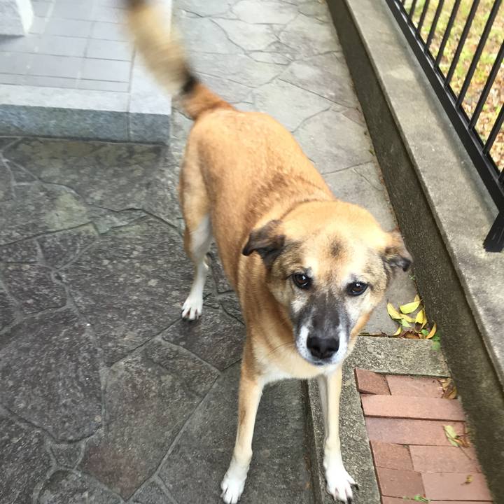 80701860 e251 4050 9c8f 59520a426aa0