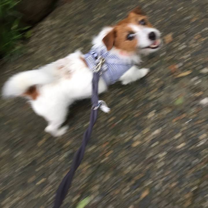 807021f7 3b1a 43fd bd23 419f960f9e36