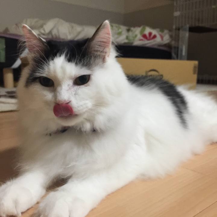 8070517d 9224 4cc9 bf01 9102bd07019a