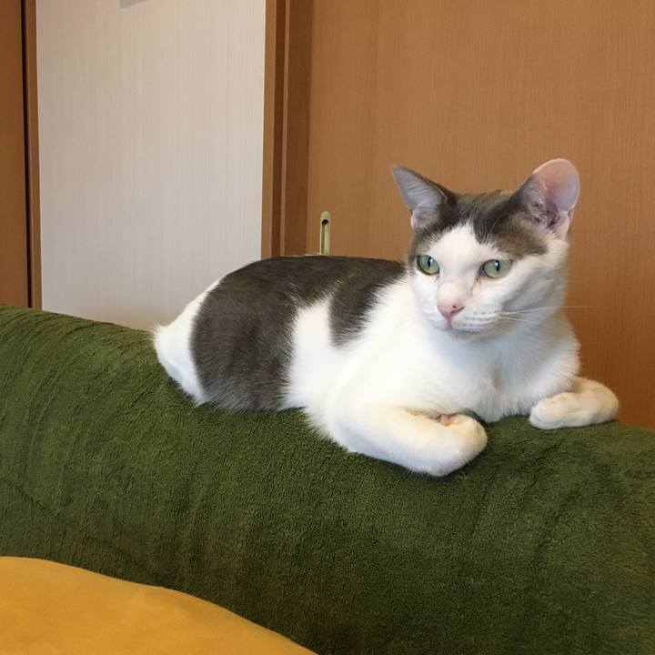 80709ccc 7788 46db 8c1c f571748c1d80