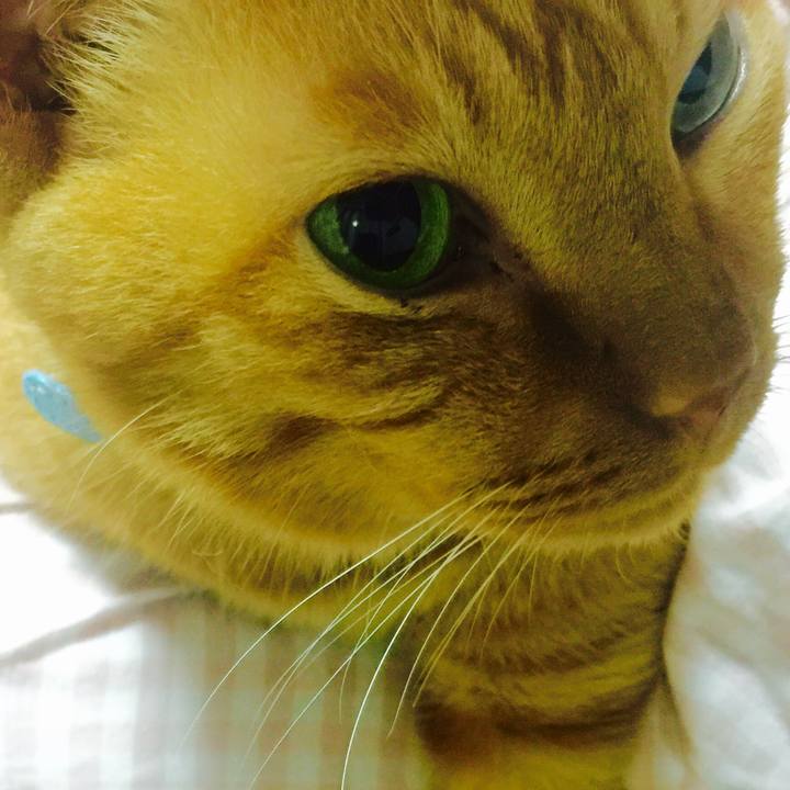 8070a022 2a26 49dc 9f0d 490988f47cc3