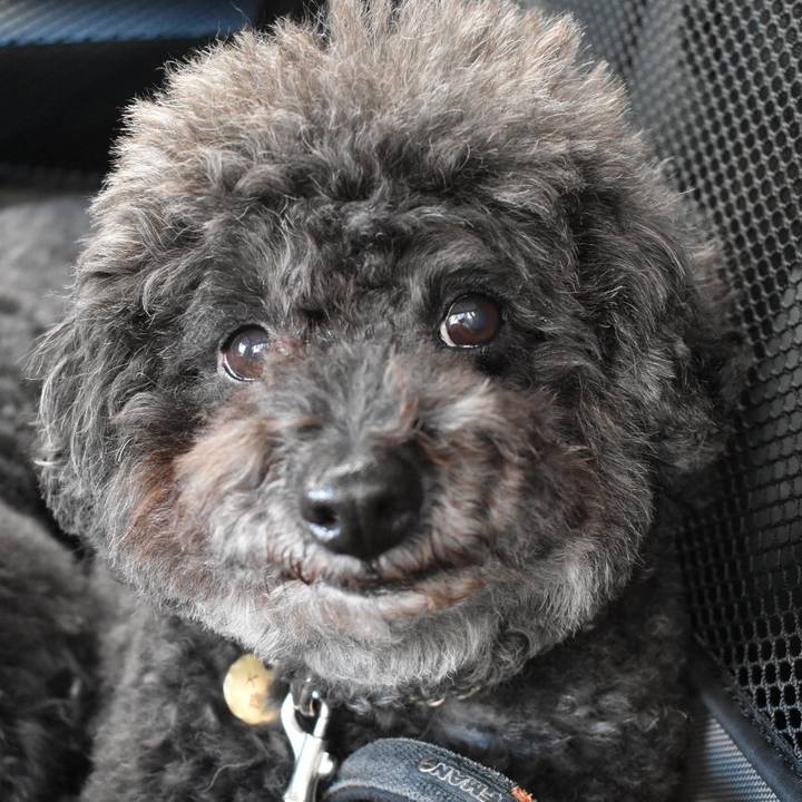 807119da fb36 48f7 b9fd a6fa345b309f