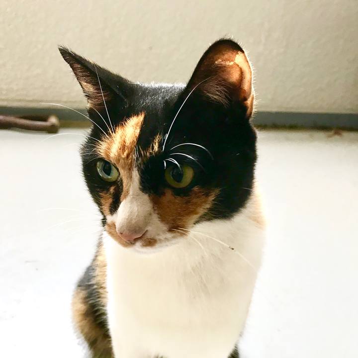 807196ad d9d7 4e2b a278 2e728c9b03e0