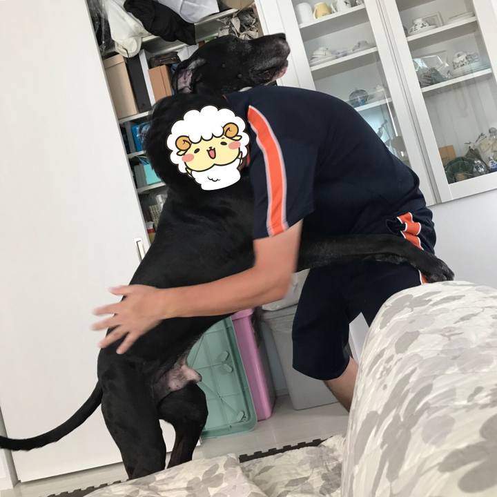 80719fea 04bd 46d2 9a4d 40a10032fd87