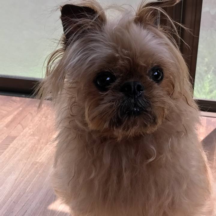 8071b2b6 745e 4ac0 a421 1f339061bc4b