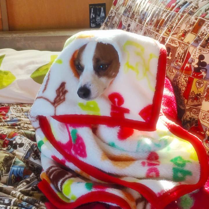 8071df6f 1c39 42ff 9dea f836867154af