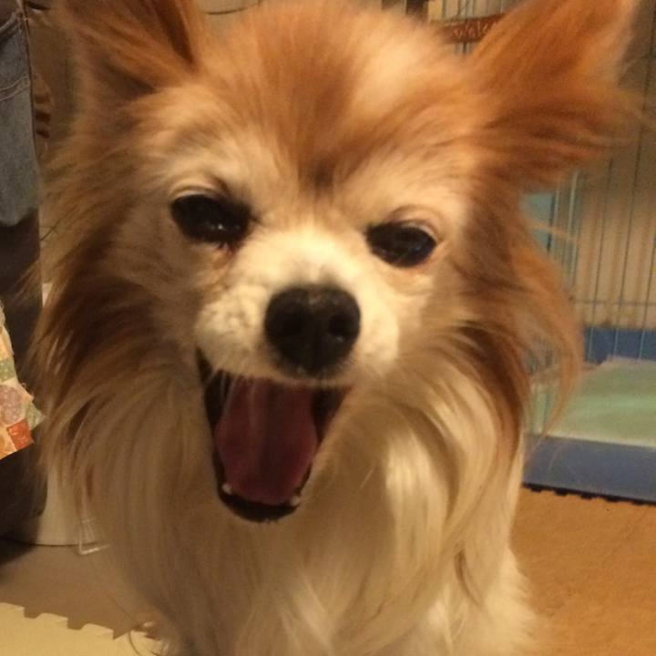 8073e28b b080 47ba 9672 f5c811b08397