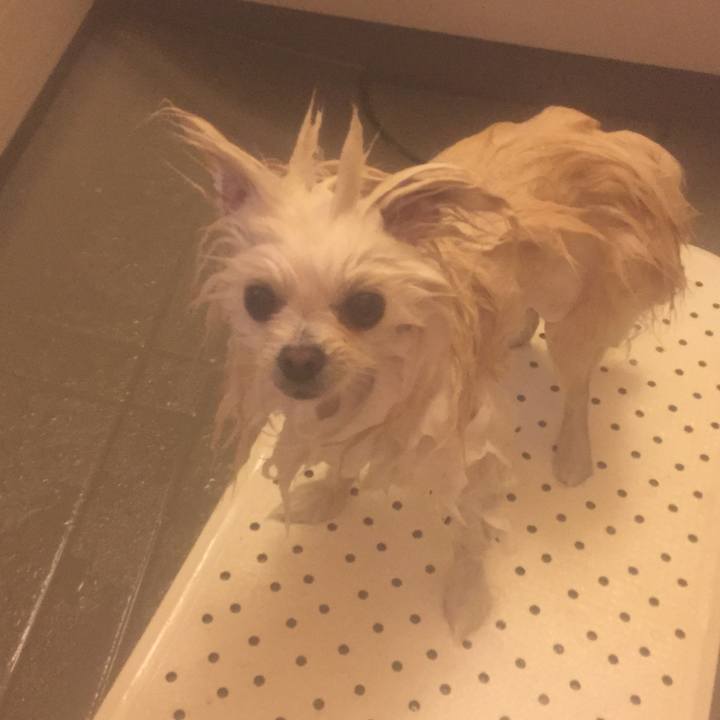 8074255f cf62 48a6 a782 8afb4890289a