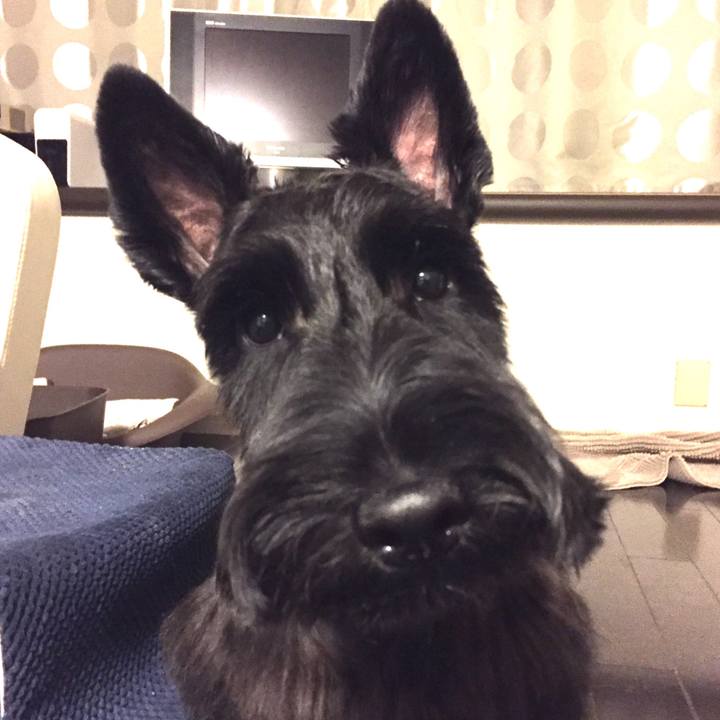 80746345 4a3a 4452 bf22 0ae0b59196a5