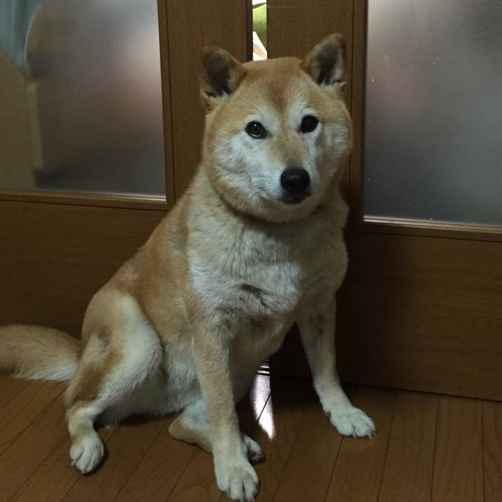 8074af7e 968d 4d24 bd06 49af55b14342