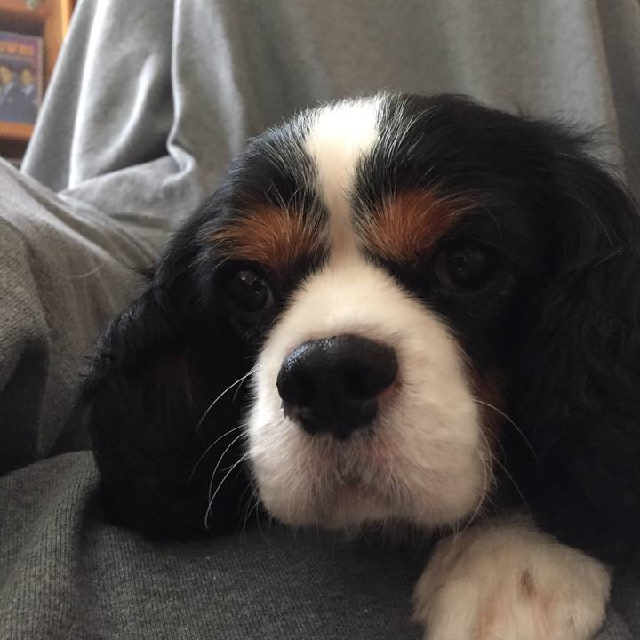 8074c59b 75f4 4d9d 8ddb 2ba4e04b80c7