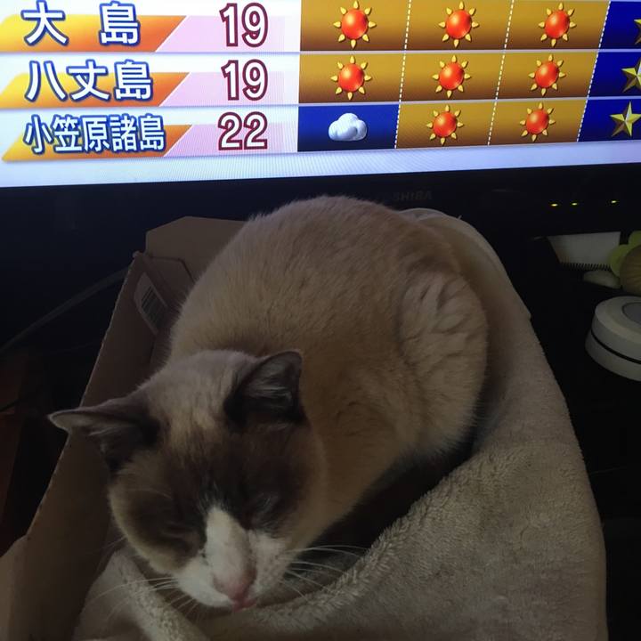 8074e355 3d7b 4a5d afa1 5789670fe9af