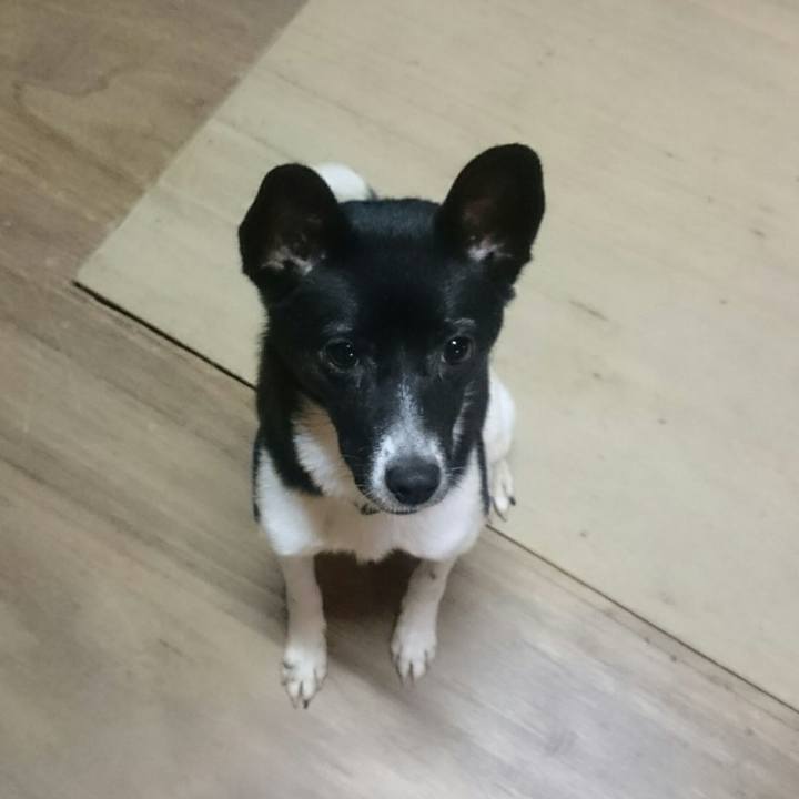 80751397 d5eb 4c9b b1f6 0bdb312021f4