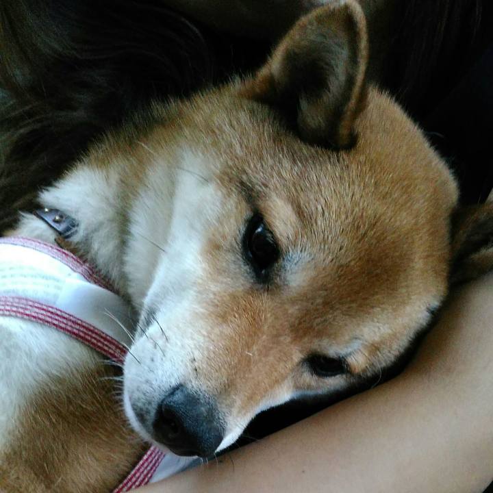 80751a5c 65ae 44da b46d 21c6d037abac