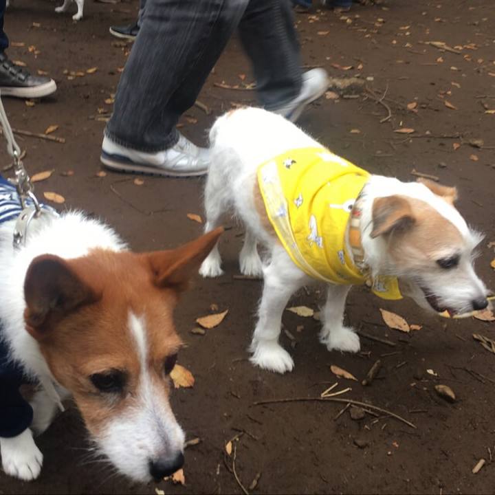 80752c59 edc9 48bb b1b5 240b4f086135