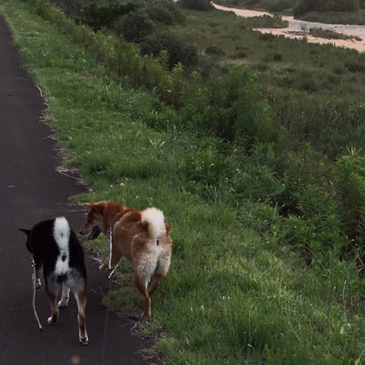 8075501e 2aaf 4730 bf39 c96eab5d5a54