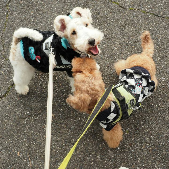 80763ec6 c80a 43a6 8620 325781228ae9