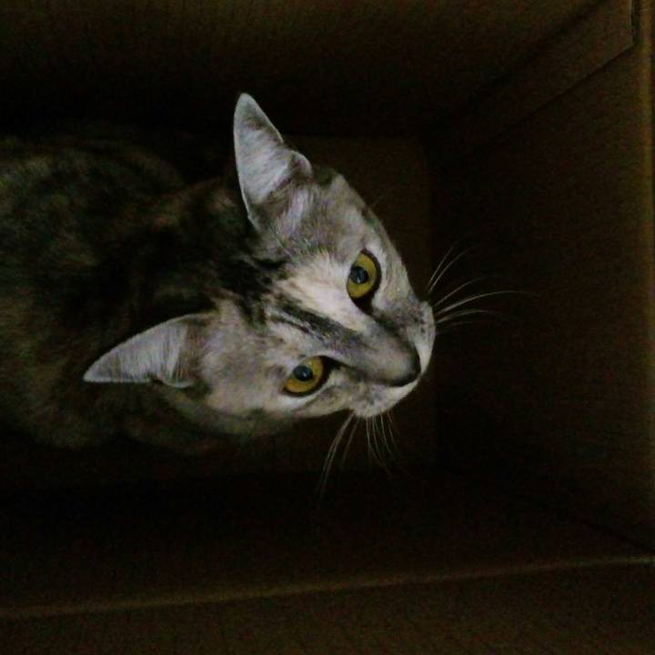 807645af c94f 48b5 88a5 c6b9f2455a9c