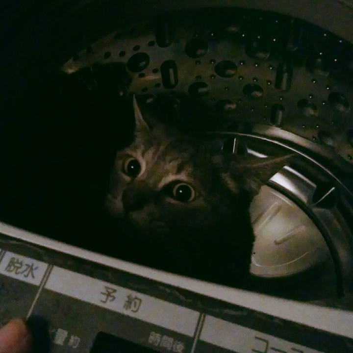 8077218d d1c3 4871 9e1d 29107032356e