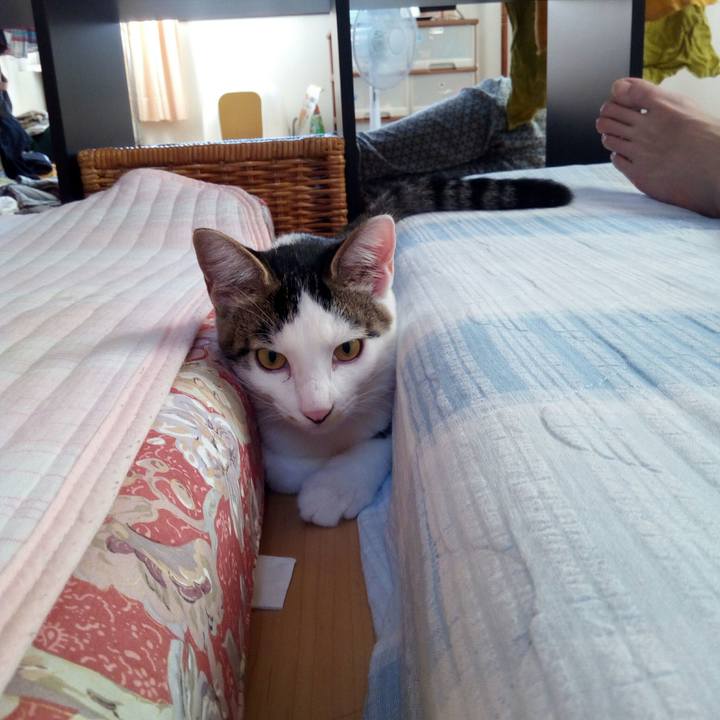 8077cc26 1010 4c88 9a1c 40b976db14a0