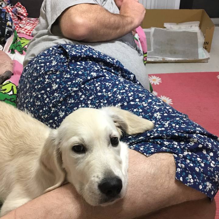 80783a72 644a 4f45 a479 48cad491b628