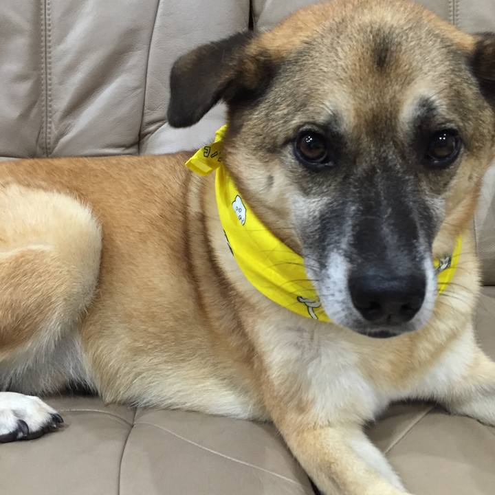 807853f1 6f3b 481a b7b2 3386418cb486