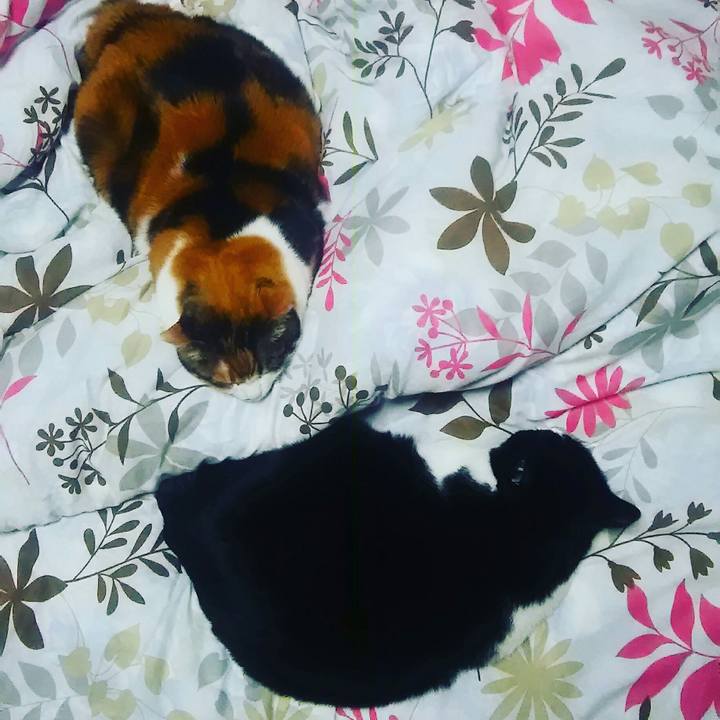 8078bb93 417c 4808 84de 07b68c927734