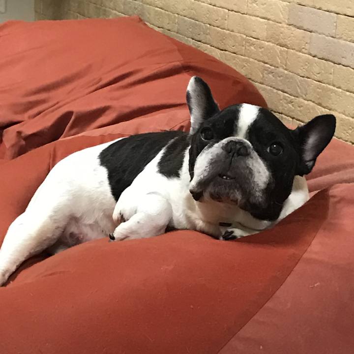 807913af 053e 4c4f a363 48636ee818ab