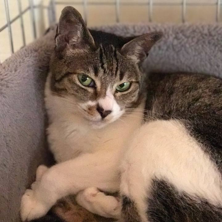 80794c90 2569 482e 8f2c ffdb7cc623ff