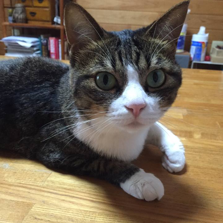 8079afd3 f1e7 4ac8 9b82 1e92096c3f22