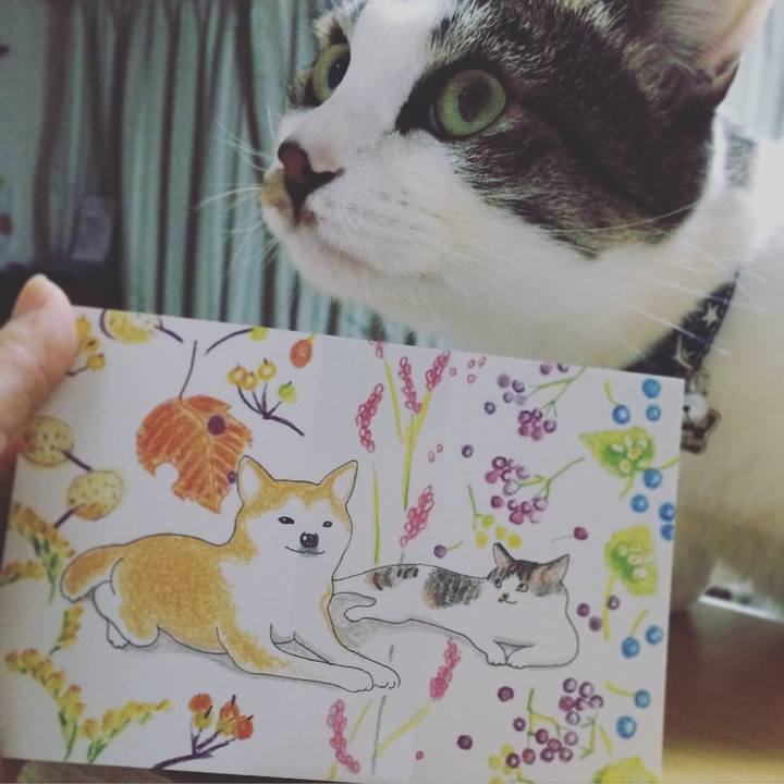 807a059a ac9e 4489 a9b2 6dcb87f36ee7