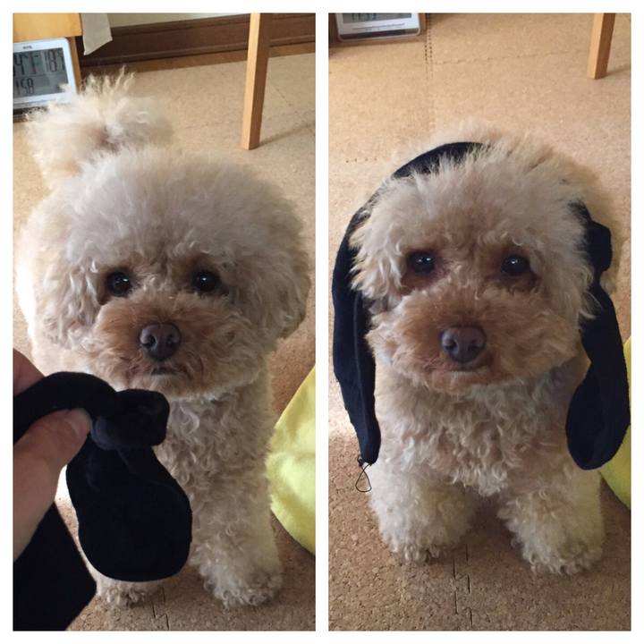 807a2868 735b 4011 8681 a824310f9658