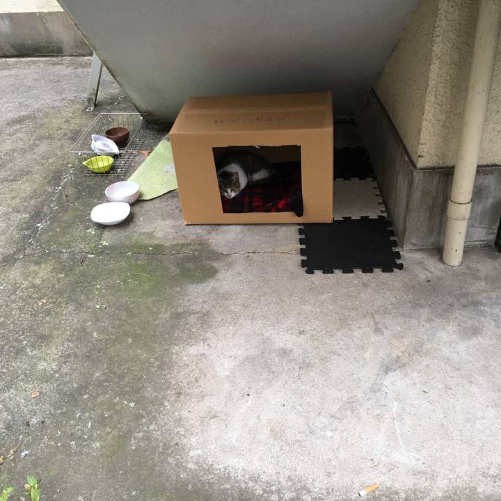 807a5c47 b15d 4497 9a6a 573f0fc26a26