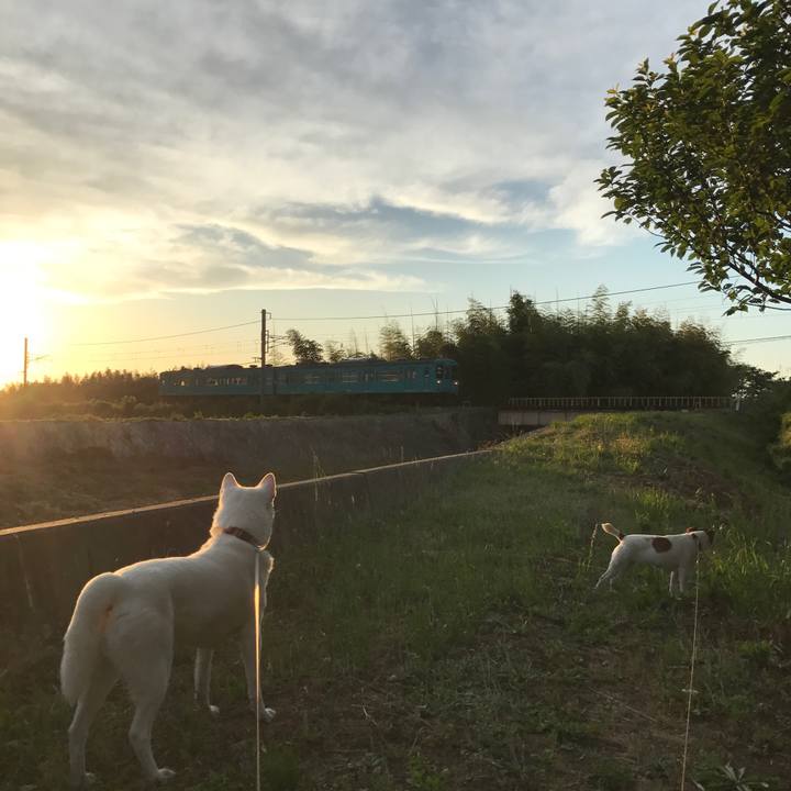 807a9058 73d1 4e15 8bc1 1a76e78b0c9c