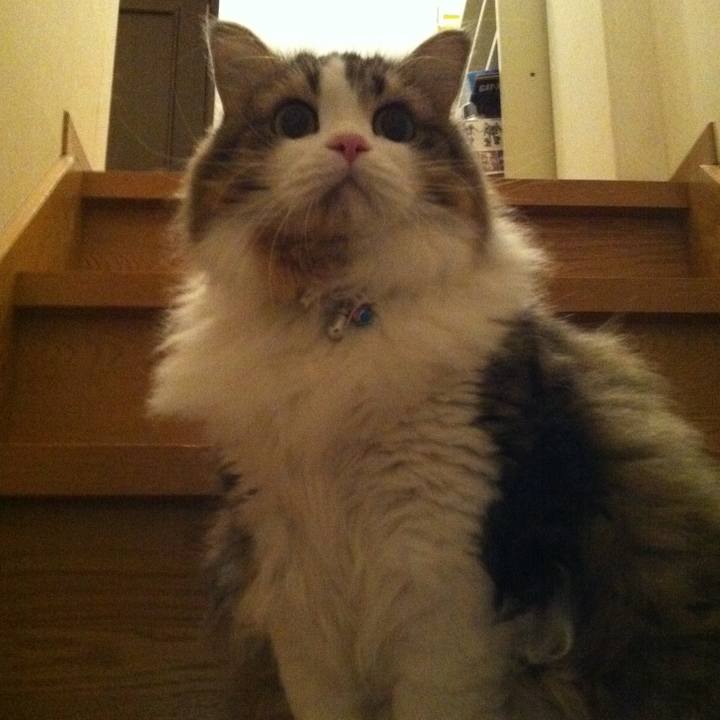 807ad55d aada 4dfb 9e82 bb16ff365333