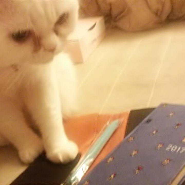 807b5fae bcf1 4879 82d6 23a56f9f0815