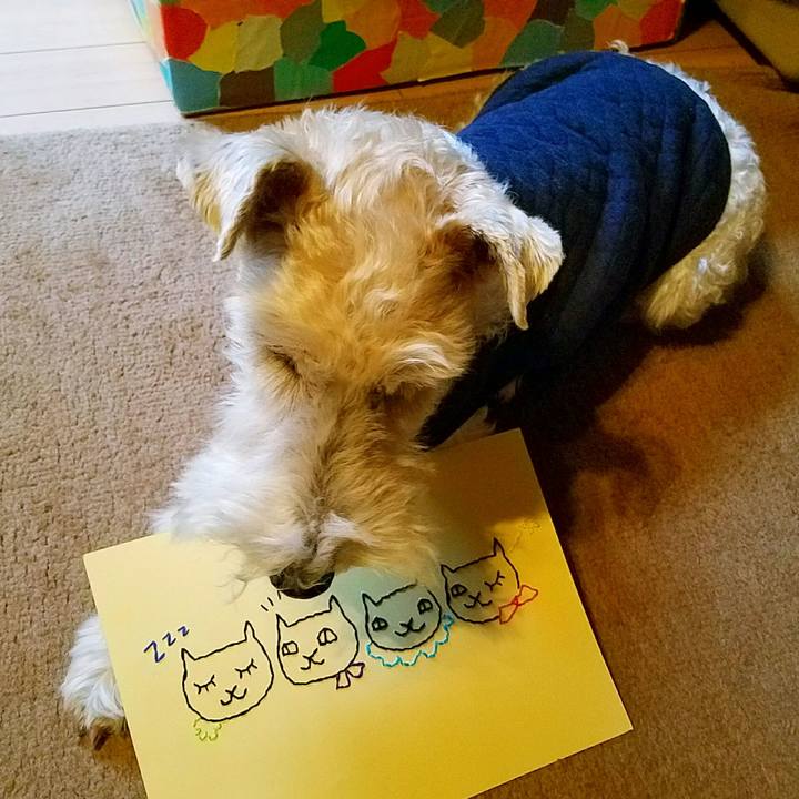 807b73e4 a435 4888 aefe 2fc1a50574d6