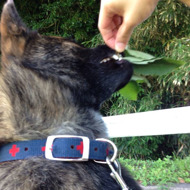 807bb1c8 69fe 4e64 8147 39293ebf4743