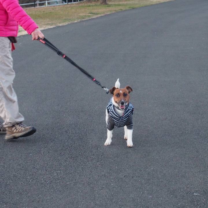 807ce7dc 2c73 4dce b150 b568241fca10