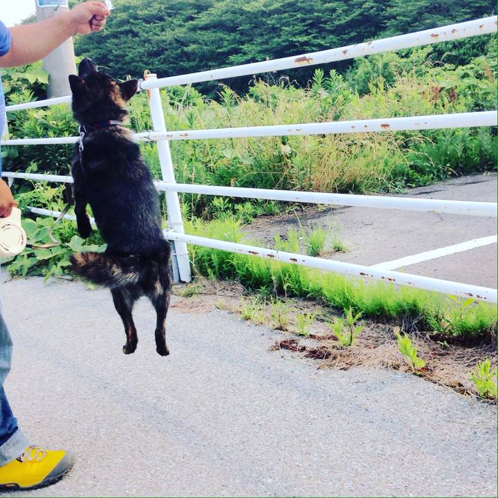 807d8703 7919 4640 8012 d9b906c4cbe7