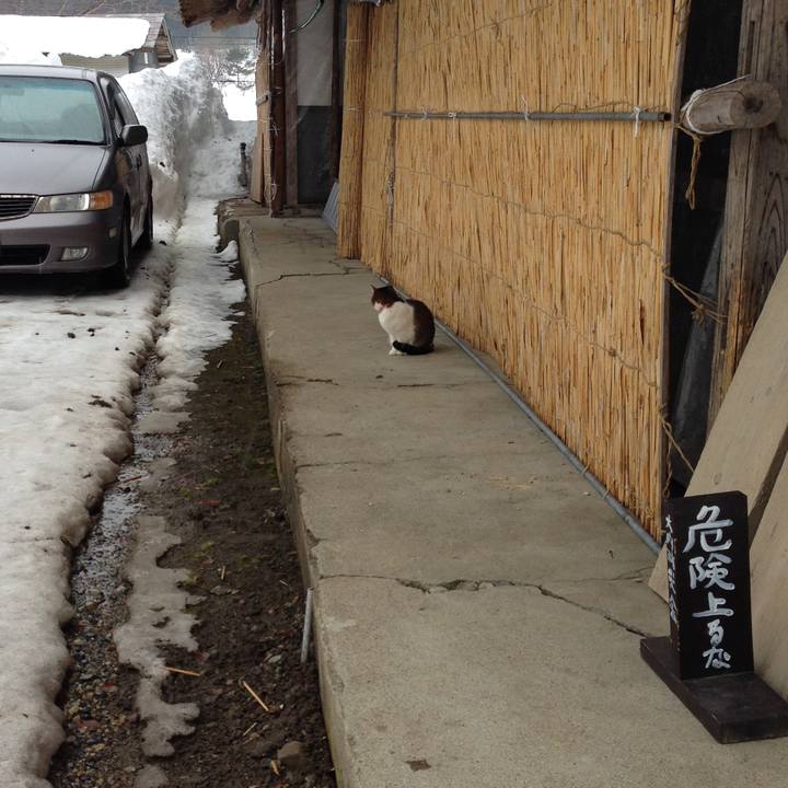 807db6f6 5dde 4bd7 b84f d6630e78ca72