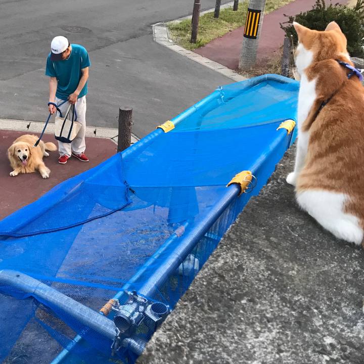 807df1a2 aa1d 4971 bb6b 1aaa625c1f09