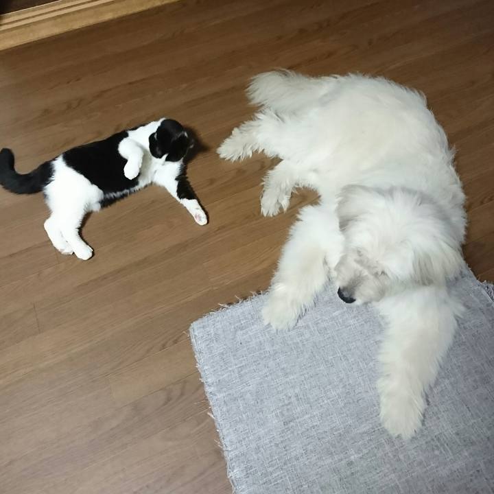 807e1329 6e86 4a72 a458 1b074a96f9bf