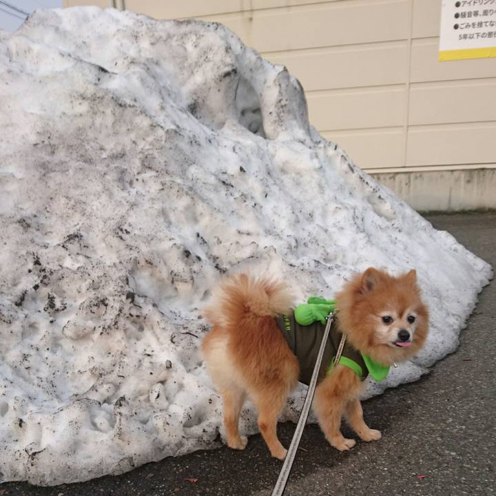 807e9978 57b0 4ee9 b8dc 738b79d50fa0