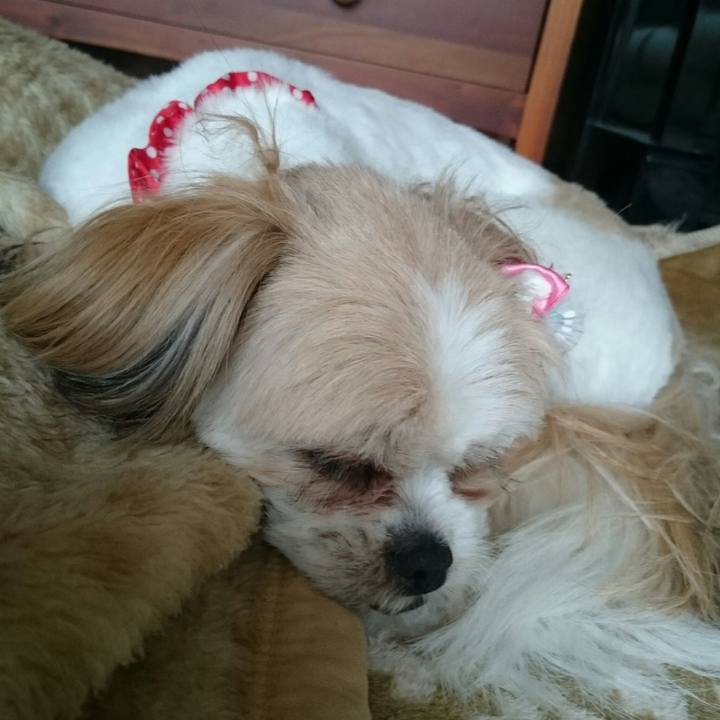 807ea4ed e569 49c4 b0ac d675a5dabcde