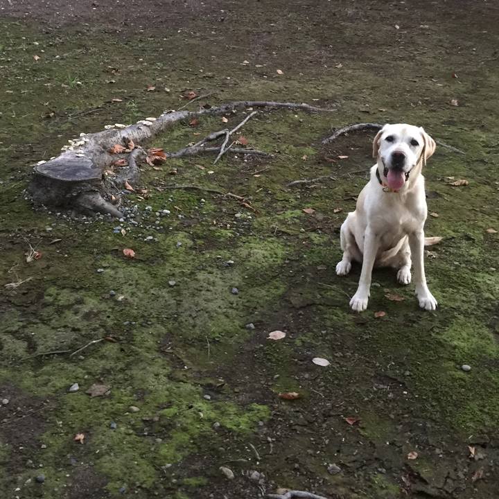 807f5098 f47d 47f3 a57e 33afd81911c4