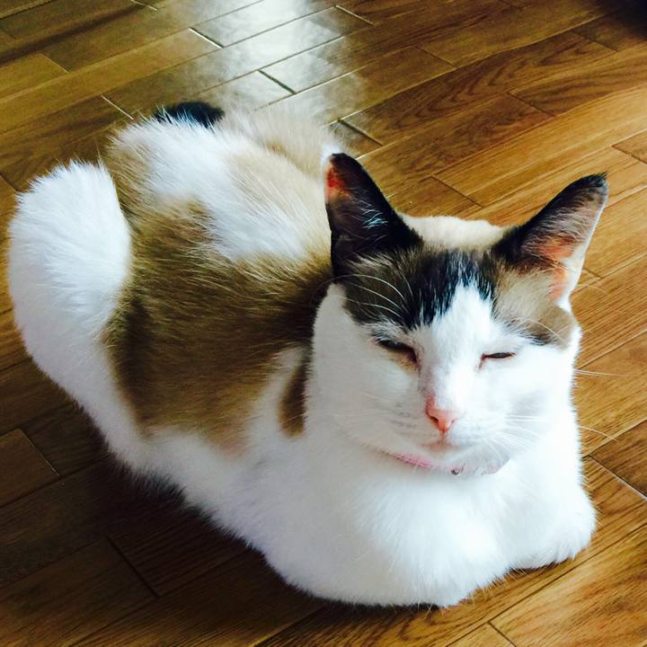 807fdce9 f024 4615 85de b9d4f2585860