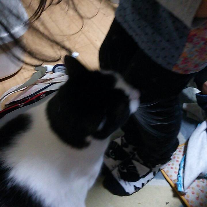 807ff295 a687 4e0b b56d f7300c2c7232