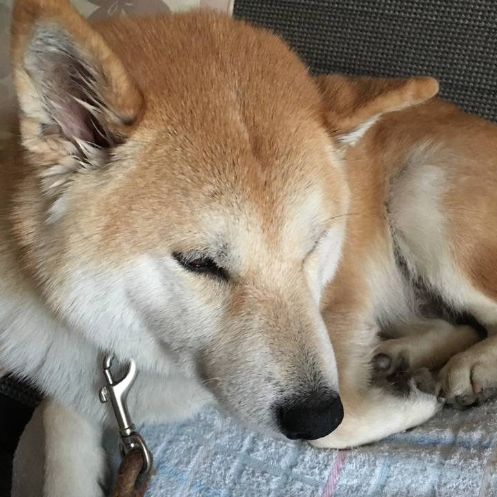 808018b7 8657 44e6 9bf9 de8880c156b7